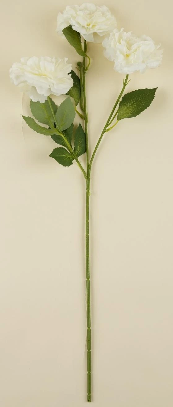 Bohemich Big Peony Stick x 3